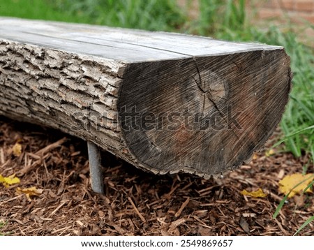 halved trunks with bark serve as park benches. stepoing stones around in the lawn and gabion wall garden yard