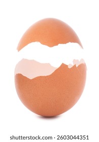 Halves of brown cracked egg shell on white background