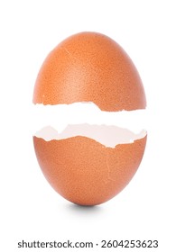 Halves of brown cracked egg shell on white background