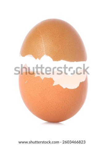 Halves of brown cracked egg shell on white background