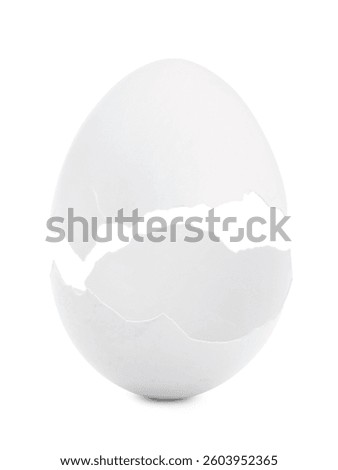 Halves of cracked egg shell on white background