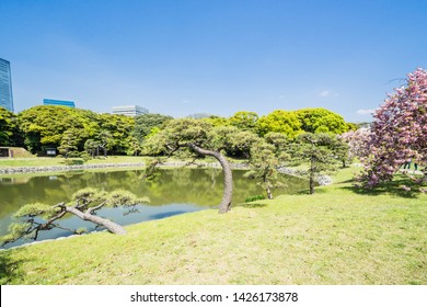 Hama Rikyu In Tokyo, Japan