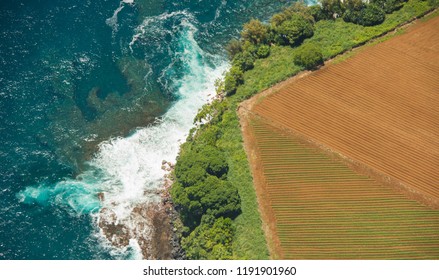 Hamakua Coast On The Big Island Of Hawaii