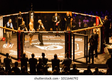 Hamburg, Germany - Nov 18th, 2017: The fight between Artur Reis and Poorya Zaheri during We Love MMA 34 