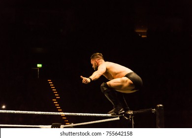 Hamburg, Germany - November 10, 2017: The Match of Finn BÃ¡lor vs Bray Whatt during WWE Live Tour 2017
