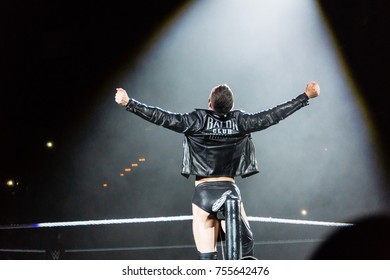 Hamburg, Germany - November 10, 2017: The Match of Finn BÃ¡lor vs Bray Whatt during WWE Live Tour 2017