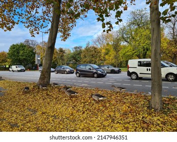 Hamburg Germany - Oct, 31 2021: A Day Shot Of The City During Autumn With Smooth Traffic. 