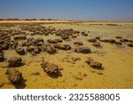 Hamelin Pool Marine Nature Reserve in the UNESCO World Heritage–listed Shark Bay in Western Australia, living marine stromatolites - monuments to life on Earth over 3,500 million years.
