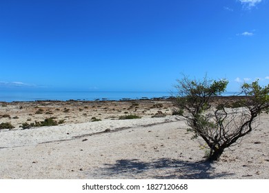 Hamelin Pool Marine Nature Reserve