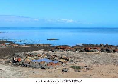 Hamelin Pool Marine Nature Reserve