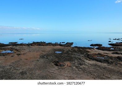 Hamelin Pool Marine Nature Reserve