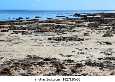 Hamelin Pool Marine Nature Reserve