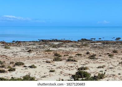 Hamelin Pool Marine Nature Reserve