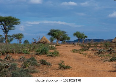 Hamer Tribe Village, Omo Valley, Ethiopia