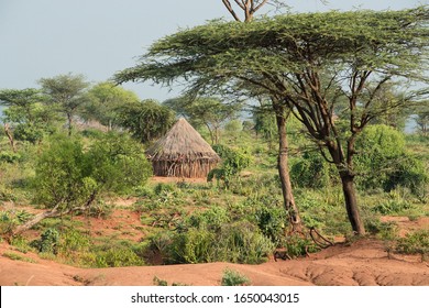 Hamer Tribe Village In South Ethiopia