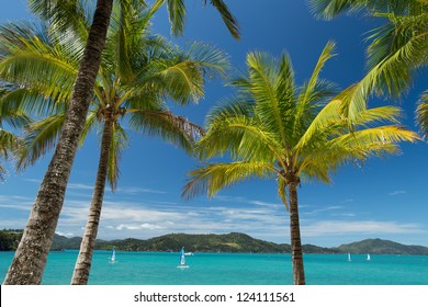 Hamilton Island