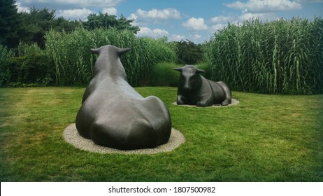 HAMILTON TOWNSHIP, NEW JERSEY/ USA - JULY 2013: Bulls AT Grounds For Sculpture