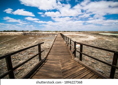 Hamlin Pool Marine Nature Reserve Shark Bay Australia