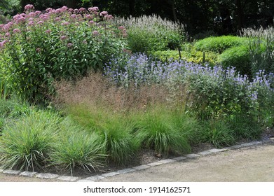 30 Downy skullcap Images, Stock Photos & Vectors | Shutterstock