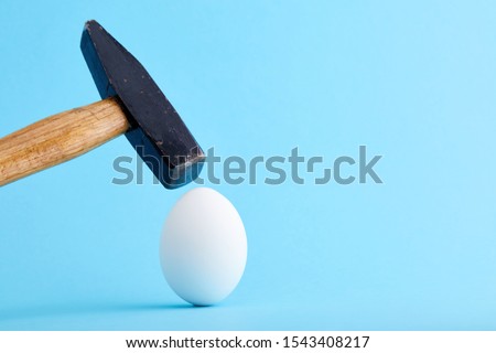 A hammer is about to crush and egg on blue background. Concept of risk, fragility or destruction.