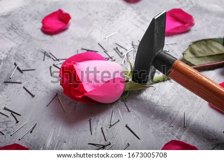 a hammer beats a rose, domestic violence, a man’s rudeness towards a woman, protractedness attracts, nails and rose petals