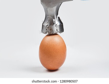 Hammer is breaking chicken egg. Concept of strength, durability, stress resistance and fortitude. - Shutterstock ID 1280980507