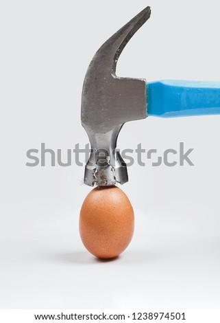Hammer is breaking chicken egg. Concept of strength, durability, stress resistance and fortitude.