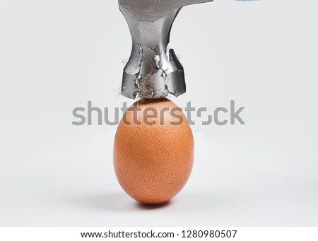 Hammer is breaking chicken egg. Concept of strength, durability, stress resistance and fortitude.