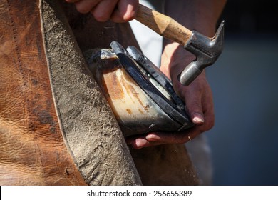 hammering the horseshoe close up