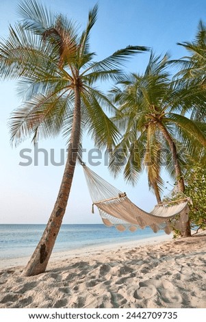 Hammock between palmtree on white sand beach of tropical island