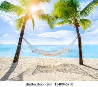 Hammock between two coconut trees on a tropical island with beautiful beach
