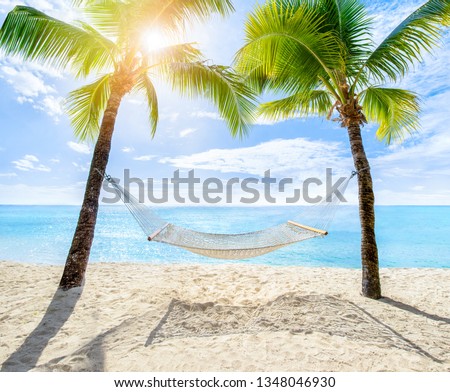 Hammock between two coconut trees on a tropical island with beautiful beach