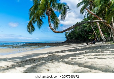 Hammock In Fiji Under Palm Tree