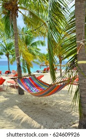 Hammock Hanging Between Palm Trees On Curacao Beach