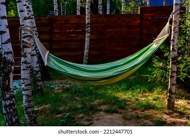 A Hammock Is Hanging In A Summer Blooming Garden In The Backyard Of A Private House. A Sunny Day. The Concept Of A Suburban Lifestyle Outdoor Recreation, Freedom From The Hustle And Bustle Of The City