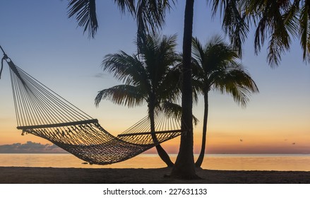 Hammock hangs between palm trees at sunrise