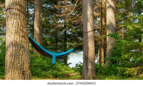 Hammock hangs between two tall trees in a tranquil forest, with a peaceful lake visible in the background and sunlight streaming through foliage