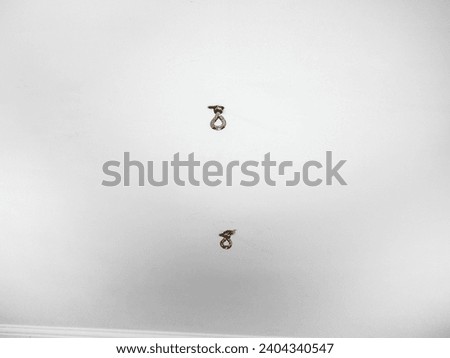 hammock hooks on a white ceiling. Metal mount on the ceiling. Reliable fastening. Whitewash.