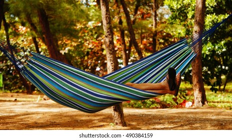 2,365 Nap Hammock Images, Stock Photos & Vectors | Shutterstock