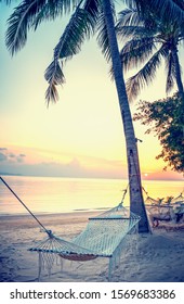 Hammock On The Beach At Sunset