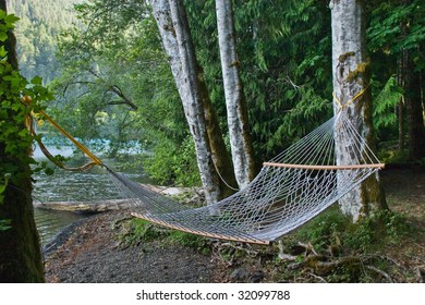 Hammock On The Shore Of Lake Crescent, WA