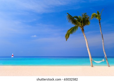 Hammock On A Tropical Beach - Vacation Background