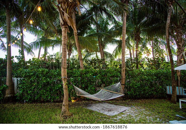 Hammock Relaxing Courtyard Luxury Hotel Miami Stock Photo (Edit Now ...