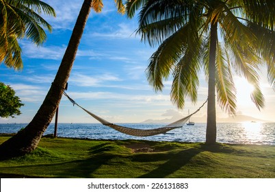 Hammock Palm Trees High Res Stock Images Shutterstock