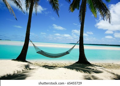 Hammock Strung Between Two Palms On Tropical Island.