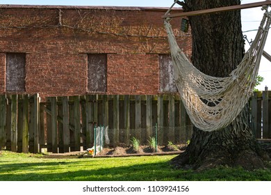 Hammock Swing Hanging From Tree In Midwest Back Garden. 