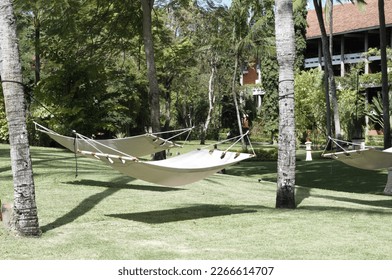 Hammocks are fixed on trees.