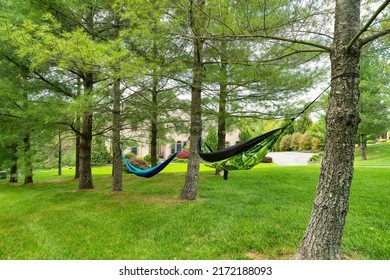 Hammocks on trees on front yard of home