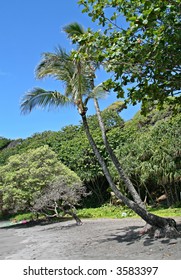 Hamoa Beach, Maui