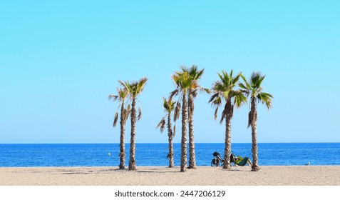 Hamock between palmtrees on the beach